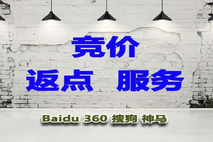 某行业巨头背后的SEM代运营服务公司